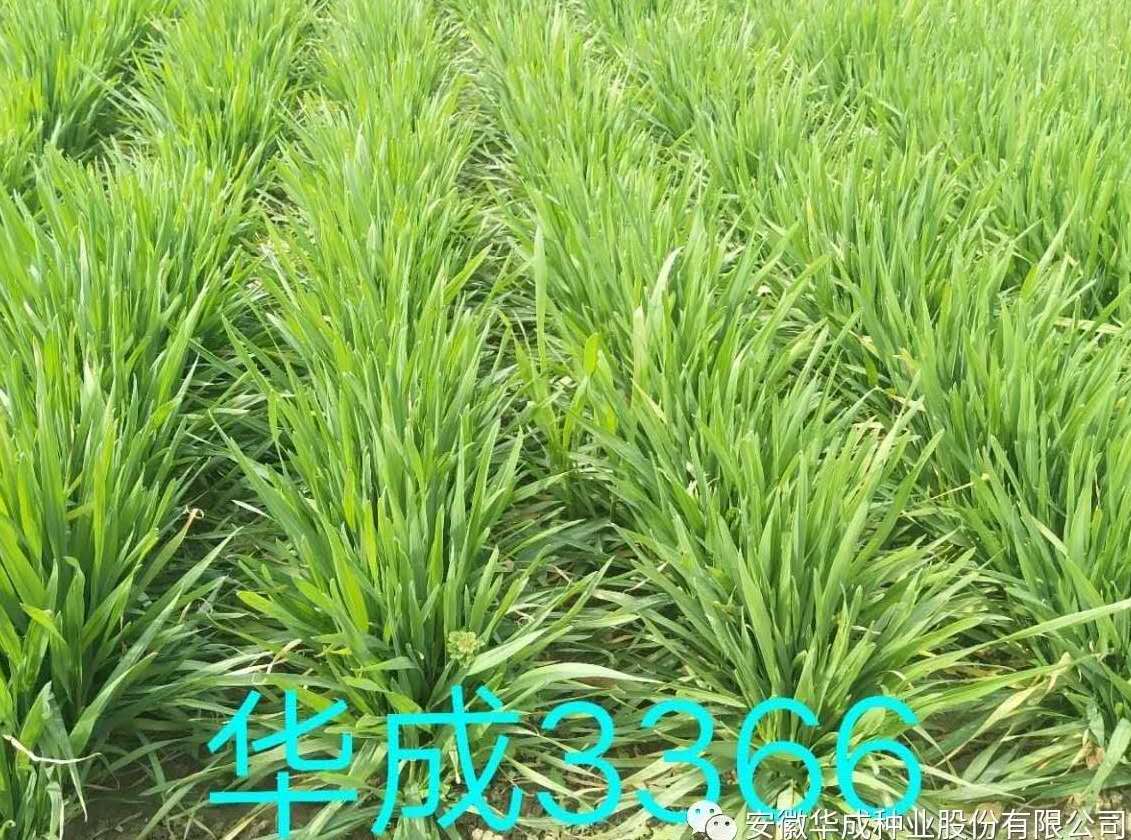 ΢ňDƬ_20200305091914.jpg